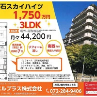 画像247
